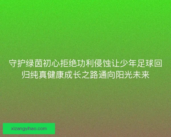 守护绿茵初心拒绝功利侵蚀让少年足球回归纯真健康成长之路通向阳光未来